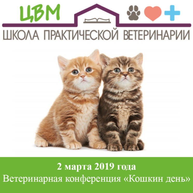 Ветеринарная конференция «Кошкин День»
