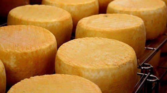 Arba Wine & Craft Cheese. Made in Kazakhstan