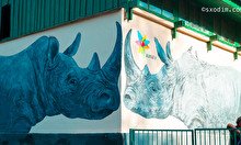 Алматинский зоопарк: все, что нужно знать