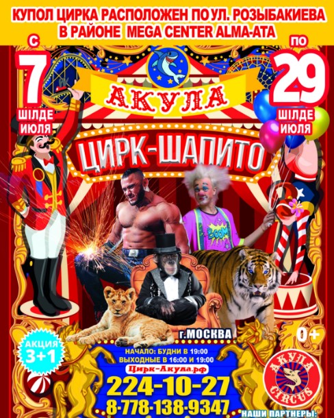 Московский цирк-шапито «Акула»