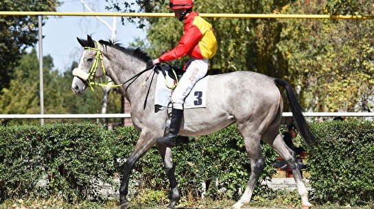 Любительский конный пробег в Алматы