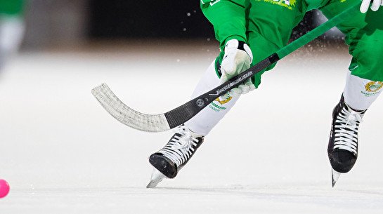 Новогодние Игры среди взрослых и детей по хоккею