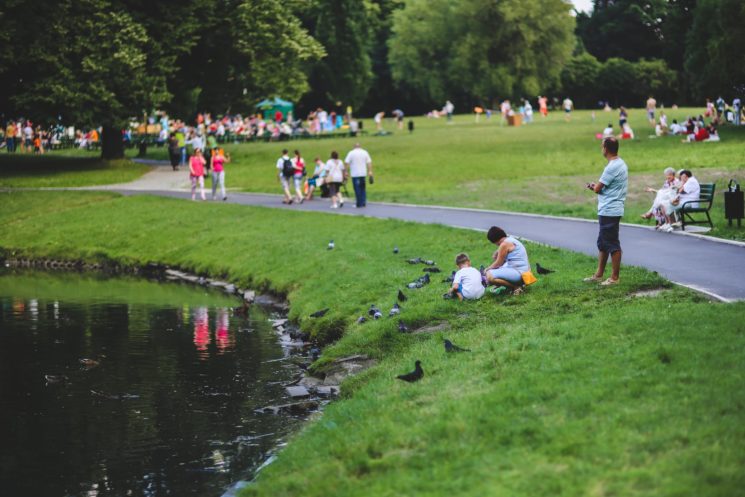 nature-bird-people-grass