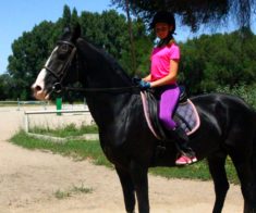Школа Высших Спортивных Достижений