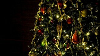 Новогодняя елка в «Тито Авангард»