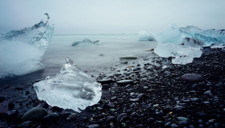 Виртуальное путешествие «Эта загадочная Арктика»