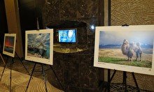 Фотовыставка "Неизвестный Казахстан"
