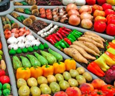 Сельскохозяйственная ярмарка Туркестанской области