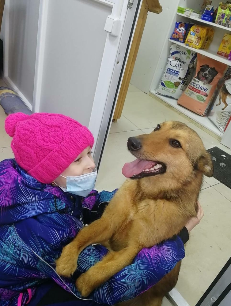 Джек встречает новых хозяев в приюте