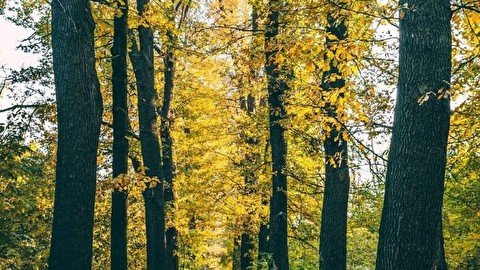 10 000 шагов: 7 мест для прогулки в Алматы