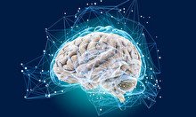Онлайн-курс «Как устроен наш мозг»
