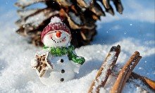 Новый Год по старому стилю в Esil Winter