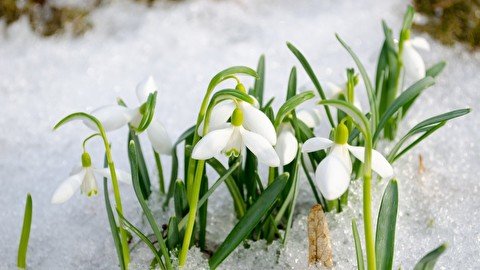 Как провести выходные (20-21 февраля)