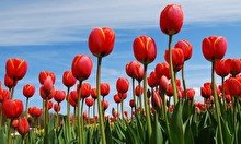 Тур в Туркестан с ночевкой