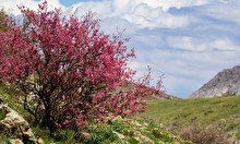 Май - месяц солнечных поездок