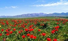 Посетите самые красивые места Туркестанской области