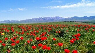Посетите самые красивые места Туркестанской области