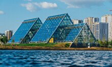 Оранжерея Ботанического сада