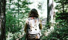 Программа выходного дня «Горы, люди, ель, ручей»