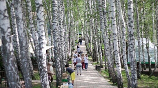 Эко алматы. Загородная роща.