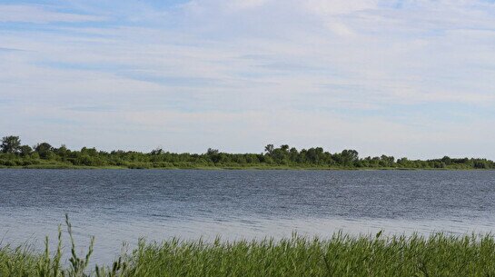 какая рыба водится в вячеславском водохранилище. Смотреть фото какая рыба водится в вячеславском водохранилище. Смотреть картинку какая рыба водится в вячеславском водохранилище. Картинка про какая рыба водится в вячеславском водохранилище. Фото какая рыба водится в вячеславском водохранилище