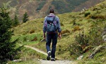 Пеший поход «Сосновый бор и берёзовая роща»