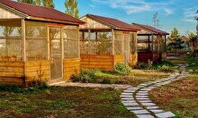 Семейно-развлекательный комплекс «Золотой Фазан»