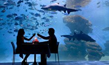 Романтический ужин в океанариуме