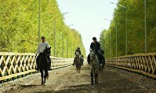 Круглогодичный центр верховой езды