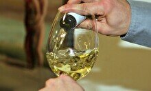Винный мастер-класс «Золотая миля вина Калифорнии»