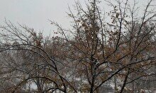 Внимание жители города Шымкент! Ухудшение погодных условий