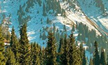 Тур «Поднебесные Качели» от Sxodim Travel
