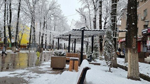 Потепление и мокрый снег с дождем придут в Шымкент 14 февраля
