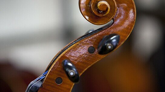 Гала-концерт Fascination Violin