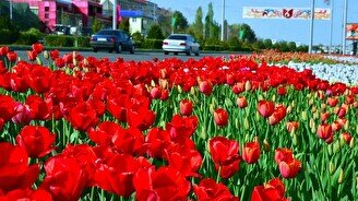 Как провести апрельскую неделю в Шымкенте (4-10 апреля)