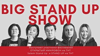 Большой Stand Up концерт, 13 августа