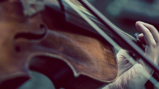 Концерт Violin Seasons