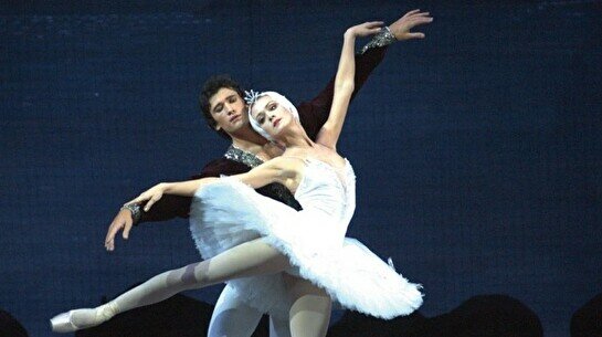 Вечер балета  «Созвездие классики»