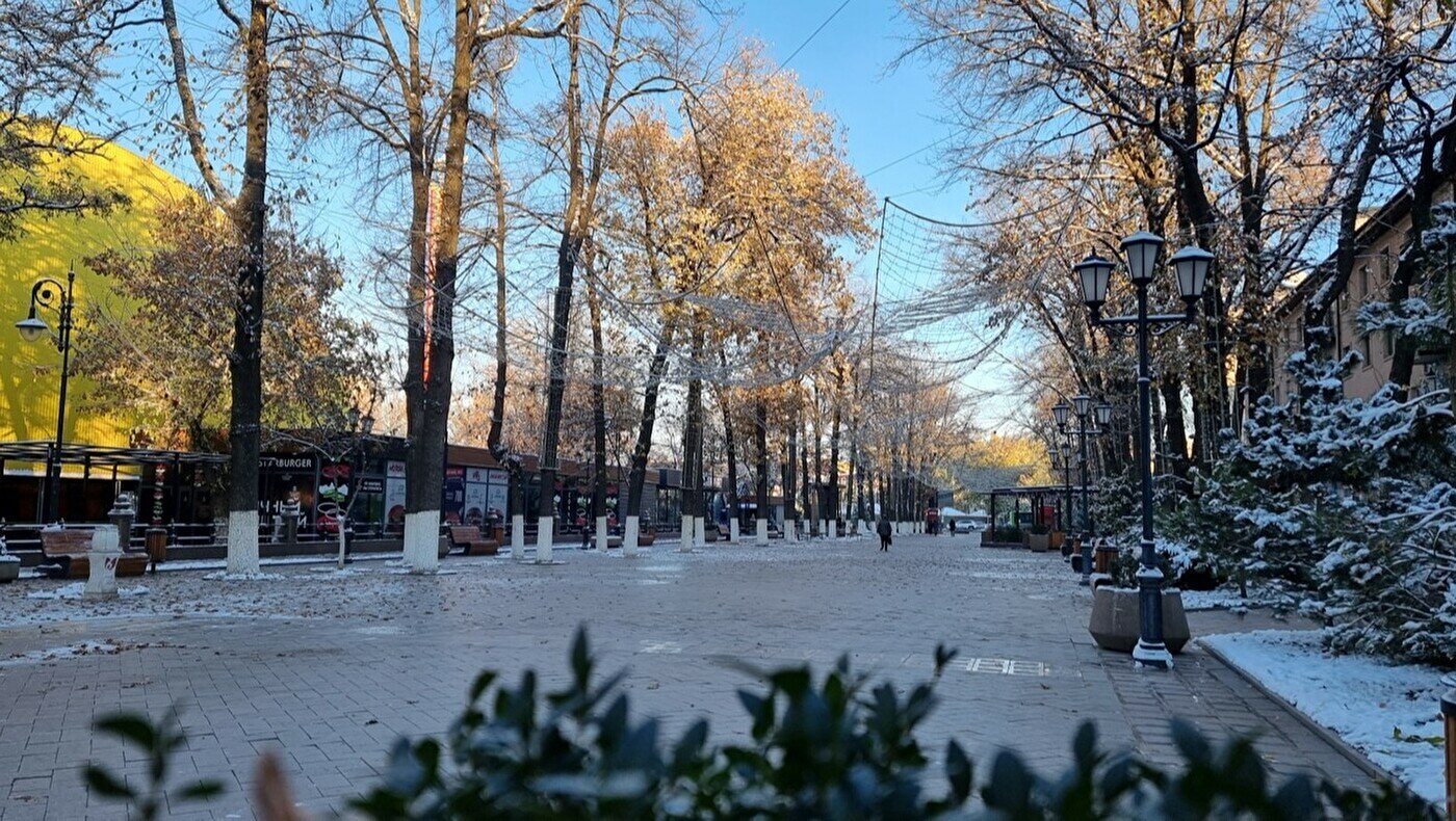 Жыныс жынысының қысқа френулумы