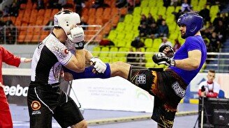 Супертурнир по панкратиону «Assenov Fight 133»