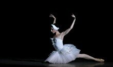 Гала-концерт звезд российского балета «Шедевры мировой классики»
