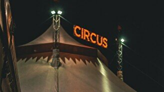 Цирковой день от «Упсала-Цирка»