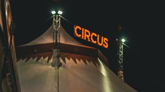 Цирковой день от «Упсала-Цирка»