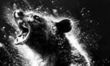 Совсем не мишка Гамми: обзор фильма «Кокаиновый медведь»