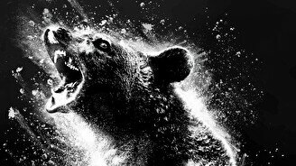 Совсем не мишка Гамми: обзор фильма «Кокаиновый медведь»