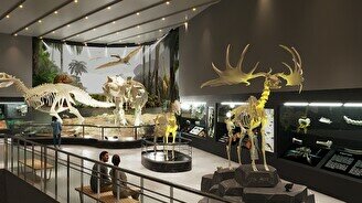 Огромный скелет Ти-Рекса: новый зал палеонтологии в Астане
