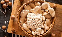 Тихая охота: где собирать грибы вблизи Алматы