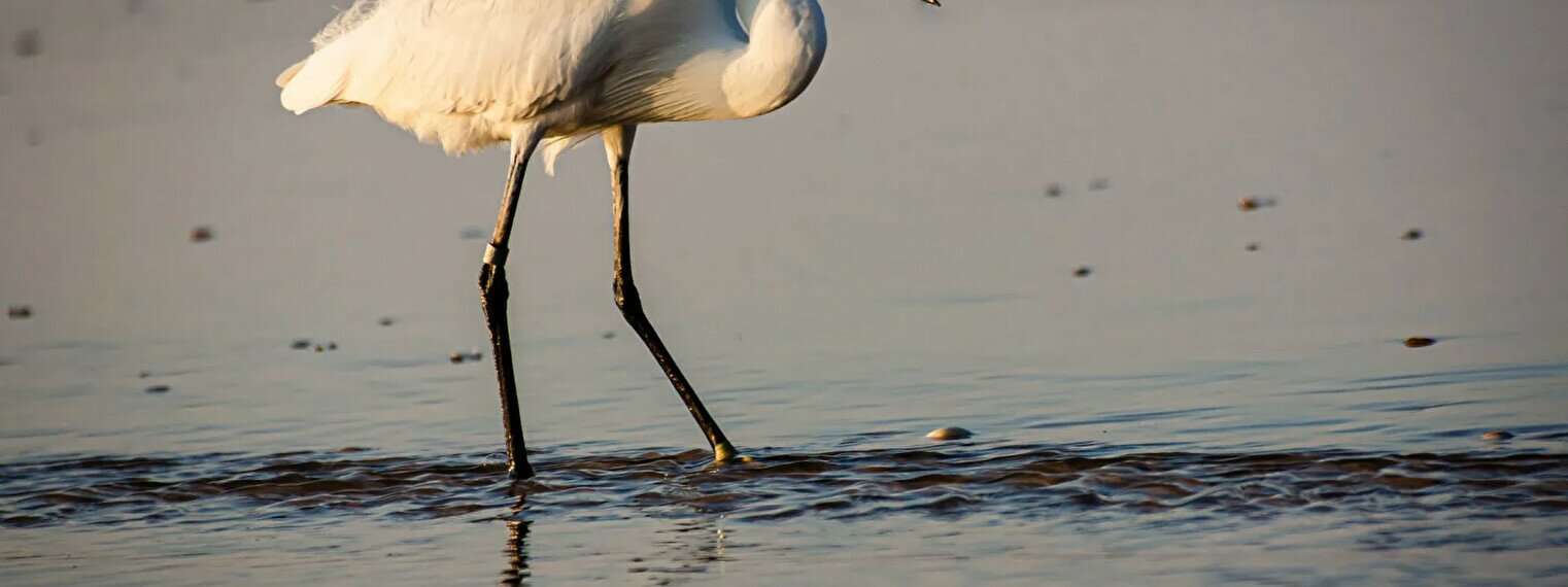 Салбыраған сиськи ханымдар порно фото HD сапада минет бейнелерін қараңыз