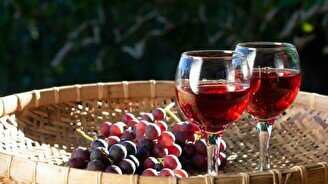 Дегустация вин Южной Италии в школе сомелье IWINE