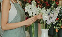 Где в Алматы выгодно купить цветы